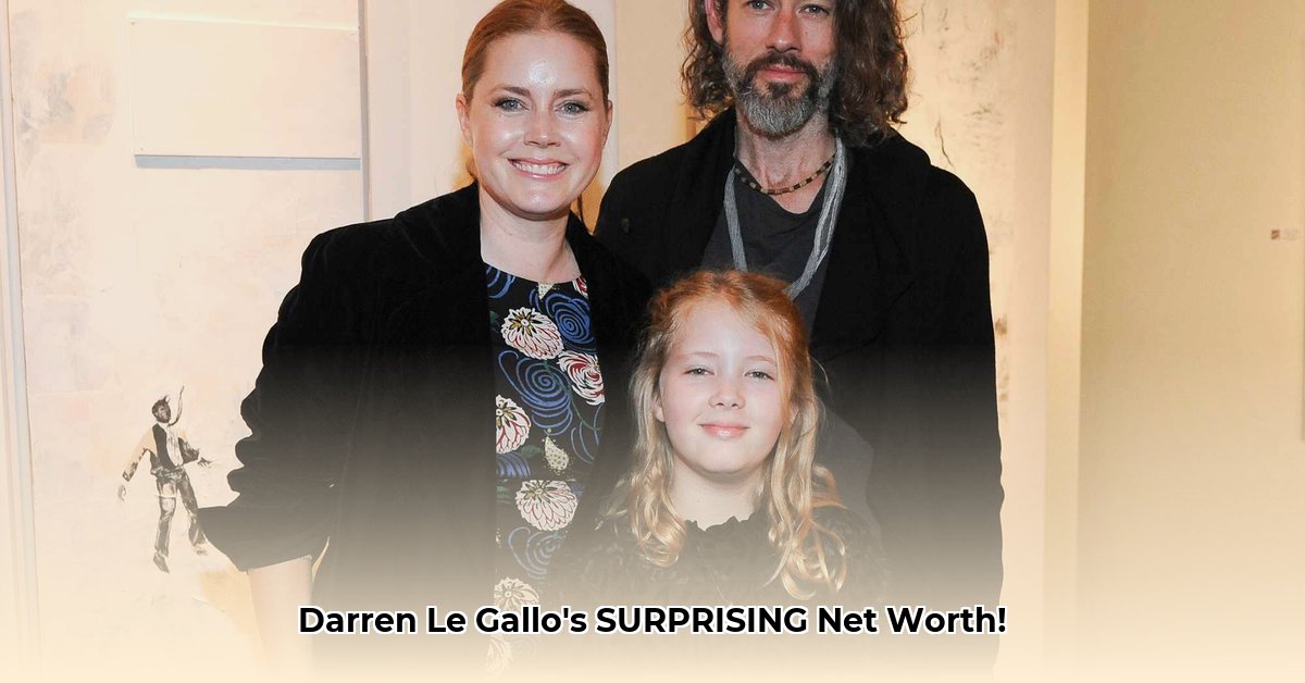 darren-le-gallo-net-worth